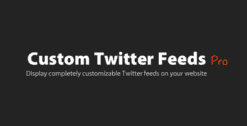 Custom Twitter Feeds Pro 2.4.4