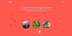 Gravity Forms Image Choices 1.5.3