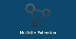 All in One WP Migration Multisite Extension 4.40
