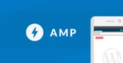 AMPforWP Newspaper Theme for AMP 2.0.43