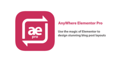 AnyWhere Elementor Pro 2.27