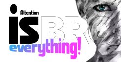 Brooklyn Creative WordPress Theme 4.9.8.9