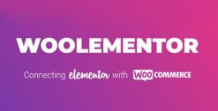 CoDesigner Pro 4.5.3 (Formerly Woolementor)