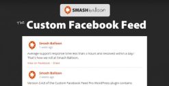Custom Facebook Feed Pro 4.6.5