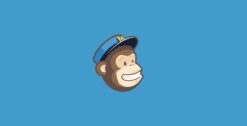 Download Monitor MailChimp Lock Addon 5.0.0