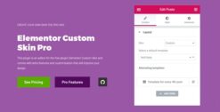 Elementor Custom Skin Pro 3.2.4