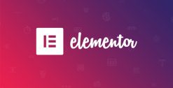 Elementor Pro WordPress Page Builder 3.25.1