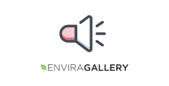 Envira Gallery Audio Addon 1.0.2