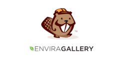 Envira Gallery Beaver Builder Addon 1.1.1