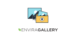Envira Gallery Downloads Addon 1.5.11