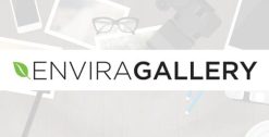 Envira Gallery WordPress Plugin 1.10.0
