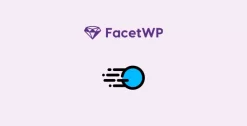 FacetWP Caching Addon 1.7