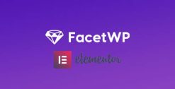FacetWP Elementor Integration Addon 1.9.2