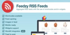 Feedzy RSS Feeds WordPress Plugin 2.4.7 (Personal Plan)