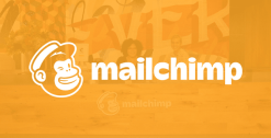 GiveWP MailChimp Integration Addon 2.0.2