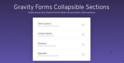Gravity Forms Collapsible Sections 1.2.24