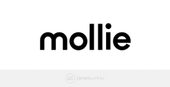 Gravity Forms Mollie Addon 1.6.0