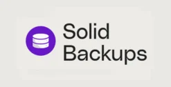 iThemes BackupBuddy 9.1.13 (Solid Backups)