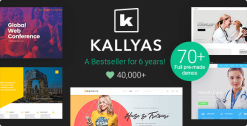 KALLYAS Creative eCommerce Theme 4.19.7