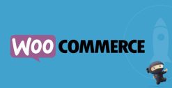 MailChimp for WooCommerce Memberships 1.2.4