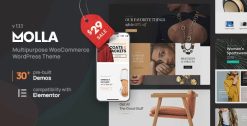 Molla MultiPurpose WooCommerce Theme 1.5.6