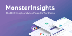 MonsterInsights Pro WordPress Plugin 9.2.1