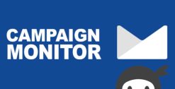 Ninja Forms Campaign Monitor 3.0.6