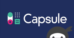 Ninja Forms Capsule CRM 3.4.4