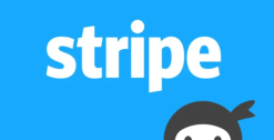 Ninja Forms Stripe Addon 3.2.6