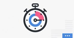 Perfmatters WordPress Plugin 2.3.4