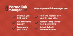 Permalink Manager Pro Plugin 2.4.4.2