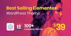 Phlox Pro Elementor WordPress Theme 5.16.5
