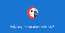 Polylang Extension for AMP 1.2.10