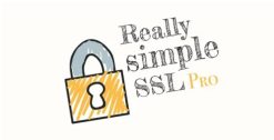 Really Simple SSL Pro Plugin 9.1.1