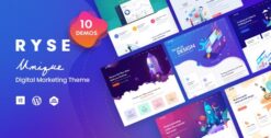 Ryse SEO And Digital Marketing Theme 4.0.2