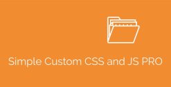 Simple Custom CSS and JS PRO 4.38