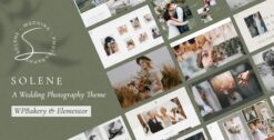 Solene Wedding Photography Theme 3.2