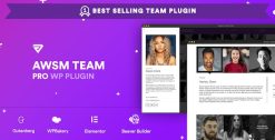 The Team Pro Team Showcase Plugin 1.11.2