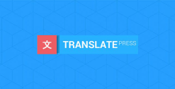 Translatepress Browse As User Role Add-on 1.0.2