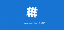 Transposh for AMP 1.0