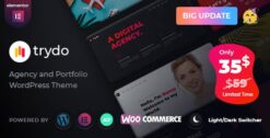 Trydo Agency and Portfolio Theme 1.6.1