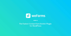 weForms Pro Plugin (business) 1.3.17