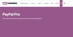 WooCommerce PayPal Pro Integration 4.5.1