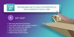 WP AMP WordPress Plugin 9.3.35