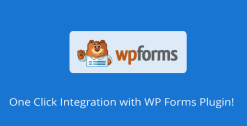 WP Forms Extension for AMP 1.3.14