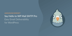 WP Mail SMTP Pro Plugin 4.1.1