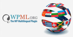 WPML Translation Management Addon 2.10.8